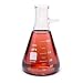 WPI CG-0084 Glass Filter Flask with 10mm Tubulation, 180mm Height, 500mL Capacity, 150mL to 500mL Graduation (Pack of 6)