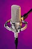 Audio - Technica AT4047 Condenser Microphone - B000ZLRT80