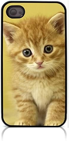 HeartCase Hard Case for Iphone 4 4G 4S (Cat Cute )