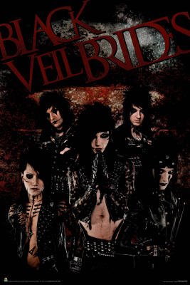 24x36 Black Veil