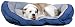 8 Facts About Large Dog Beds 41goQL17YlL. SL75 8 Facts About Large Dog Beds