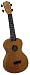 Mahalo U-320C Deluxe Concert Ukulele with Gig Bag Mahalo U-320C Deluxe Concert Ukulele with Gig Bag