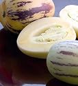 Pepino Melon Pear 10 Seeds-Solanum muricata-Indoors/Out
