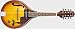 Ibanez M510E Electric Acoustic Mandolin