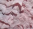 Butterfly Shaped Silk Rose Petals Wedding Favors - 200 Ct - Pale Pink
