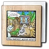 Typical Rainforest Weather Reports - 6 Inch Tile Napkin Holder
