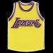 Los Angeles Lakers Team Jersey Pin