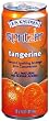 R.W. Knudsen Spritzer, Tangerine, 10.5-Ounce Cans (Pack of 24)