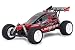 FTX Punisher Plus RTR 1/5th Scale Buggy with 2.4GHz - Green