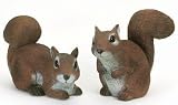 SQUIRREL BABY ASSORTMENT