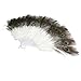 Beautiful Peacock Feather Belly Dance Hand Fan (White)