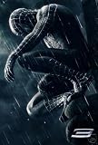 Spiderman 3 Movie 24X36 Poster - Very Hot - New! - Buy Me! #03