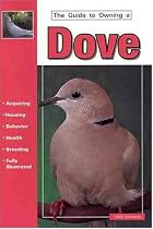 The Guide to Owning a Dove