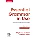 Essential grammar in use. With answers. Ediz. italiana. Per le Scuole superiori. Con CD-ROM