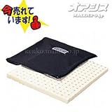 ボディドクター ザ・シート 通気カバータイプ BD-NTS/BL　クロ