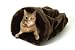 Play and Rest Cat Bed