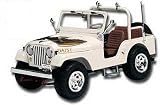 AMT 31535 Dukes of Hazzard Daisy's Jeep (Retired) 1/25 Scale Plastic Model Kit