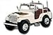 Search : AMT Dukes of Hazzard Daisy's Jeep - Retired