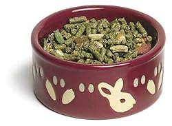 SPET PETWARE DISH BUNNY