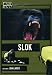 Slok