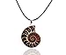 35-40mm Natural Single Ammonite Fossil Stone Gemstone Charms Pendant Necklaces Vintage Style