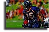 Completely Handpainted American Football Sport Painting, Custom Order FL2355, Oil on Canvas, with Option to Paint Jerry, Brett & Co. from Any Other Favorite Photograph or Picture, Unframed, Size 18" x 24" inch