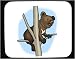 Decorated Mouse Pad with climb, bear, cub
