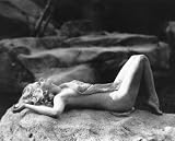 JEAN HARLOW 24X36 B&W POSTER PRINT