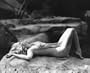JEAN HARLOW 24X36 B&W POSTER PRINT