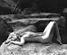 JEAN HARLOW 24X36 B&W POSTER PRINT