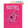 Molecular Biology of the Cell