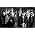 Thumbnail image of Cage the Elephant