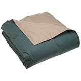 Blue Ridge Home Fashions Reversible Feather Comforter