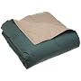 Blue Ridge Home Fashions Reversible Feather King Comforter, Hunter/Khaki