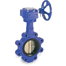 Smith-Cooper International 160 Series Iron Butterfly valve, Lug Style, Stainless Steel 316 Disc, EPDM Seat, Gear Operator
