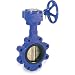 Smith-Cooper International 160 Series Iron Butterfly valve, Lug Style, Stainless Steel 316 Disc, Buna-N Seat, Gear Operator