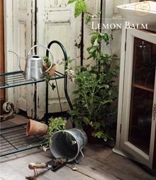 Cover image : CONCENT カタログギフト ミストラル 総合 ギフト Lemon Balm レモンバーム
