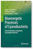 Bioenergetic Processes of Cyanobacteria: From Evolutionary Singularity to Ecological Diversity