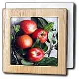 Fruit Food - Apple - Tile Napkin Holders