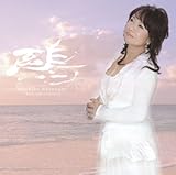 鴎30~海からのメッセージ~