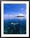 Woman Snorkelling Over Sangalaki Island Reef, East Kalimantan, Indonesia Framed Art Poster Print by Michael Aw, 31x39