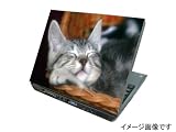 ���b�v�g�b�v�X�L�� �m�[�g�p�\�R���X�L���@�M���̃m�[�g�p�\�R�������j�[�N�ɏ���܂��BNo.015 �摜