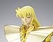 Bandai Japan Saint Seiya Virgo Shaka Saint Cloth Myth EX Action Figure