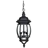 Capital Lighting 9864BK Outdoor Hanging Fixture with Clear Glass Shades, Black Finish by Commercial 