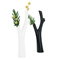 Arbor Trunk Vase Collection