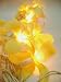 Yellow Frangipani Flower Party String Lights (20/set)