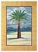 Canary Island Palm by Paul Brent Fine Art Print / Poster 24.00 x 32.00 in. Image