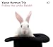 White Rabbits-Follow White Rabbit