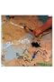 From the Cliffs [Vinyl]
