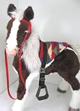 Butterscotch S'Mores Interactive Hasbro Saddle Set -Navaho Style